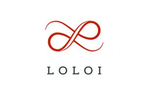 Loloi rug | Cherry City Interiors