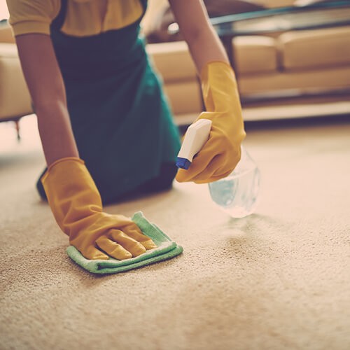 Cleaning carpet stains | Cherry City Interiors