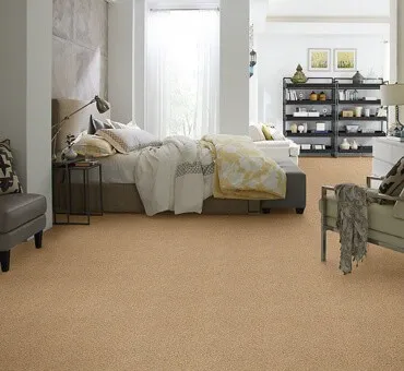 Anderson Tuftex Acadia Park farro | Cherry City Interiors